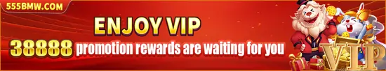 5BMW VIP