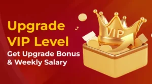 CROWNJILI UPGRADE VIP LEVEL