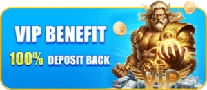 PH8PW VIP BENEFIT